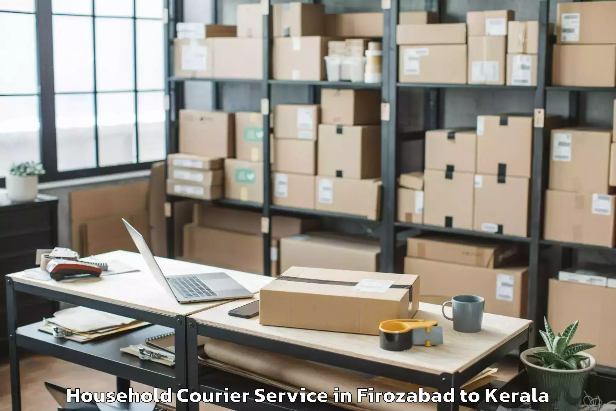 Professional Firozabad to Perintalmanna Household Courier